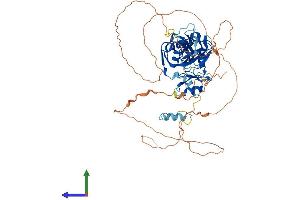AlphaFold protein structure predicition of Human Recombinant CPEB1 Protein, UniprotID Q9BZB8