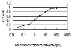Detection limit for recombinant GST tagged MPHOSPH6 is approximately 0. (MPHOSPH6 anticorps  (AA 1-160))
