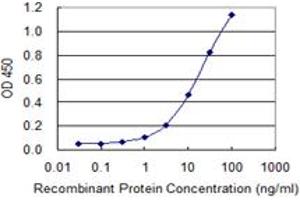 Detection limit for recombinant GST tagged USO1 is 0. (USO1 anticorps  (AA 1-961))