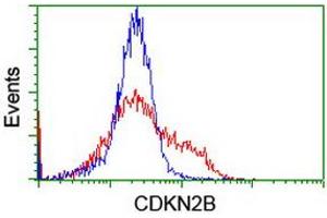 Image no. 4 for anti-Cyclin-Dependent Kinase Inhibitor 2B (p15, Inhibits CDK4) (CDKN2B) antibody (ABIN1497445) (CDKN2B anticorps)