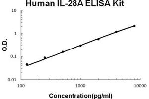 Human IL-28A PicoKine ELISA Kit standard curve (IL28A Kit ELISA)