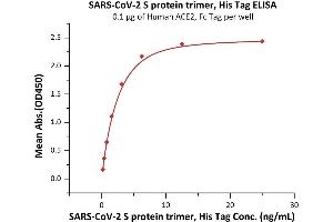 Immobilized Human ACE2, Fc Tag (ABIN6952459,ABIN6952465) at 1 μg/mL (100 μL/well) can bind SARS-CoV-2 S protein trimer, His Tag (ABIN6992378) with a linear range of 0.