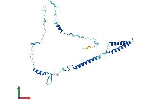 AlphaFold protein structure predicition of Mouse Recombinant Enkur Protein, UniprotID Q6SP97