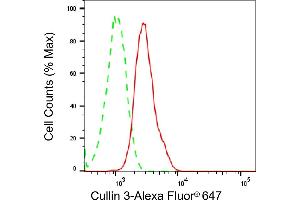 Flow cytometric analysis of Cullin 3 expression in H9c2 cells using Cullin 3 antibody (ABIN7798179), 1:2,000).