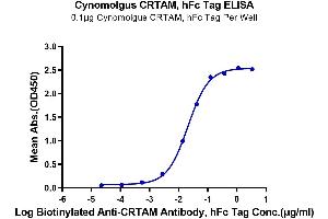 Immobilized Cynomolgus CRTAM, hFc Tag at 1 μg/mL (100 μL/well) on the plate.