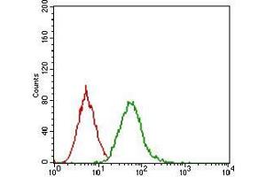 Flow cytometric analysis of A431 cells using EGFR mouse mAb (green) and negative control (red).