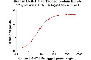 ELISA plate pre-coated by 2 μg/mL (100 μL/well) Human HVEM, His tagged protein ABIN6964089, ABIN7042433 and ABIN7042434 can bind Human LIGHT, hFc tagged protein (ABIN7092666, ABIN7272200 and ABIN7272201) in a linear range of 0.