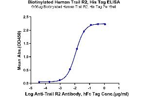 Immobilized BBiotinylated Human TRAIL R2, His Tag at 0.