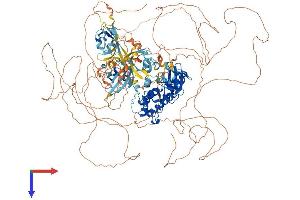 AlphaFold protein structure predicition of Mouse Recombinant Pask Protein, UniprotID Q8CEE6
