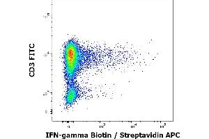 Flow cytometry multicolor intracellular staining pattern of human lymphocytes (PHA stimulated and Brefeldin A + Monesin treated) stained using anti-human IFN-gamma (4S. (Interferon gamma anticorps  (Biotin))