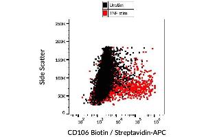 Surface staining of TNF alpha-stimulated HUVEC cells with anti-CD106 (STA) biotin, GAM-APC. (VCAM1 anticorps  (Biotin))