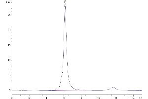 The purity of Human VEGF R2 is greater than 95 % as determined by SEC-HPLC. (VEGFR2/CD309 Protein (mFc Tag))
