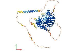 AlphaFold protein structure predicition of Mouse Recombinant Chst2 Protein, UniprotID Q80WV3
