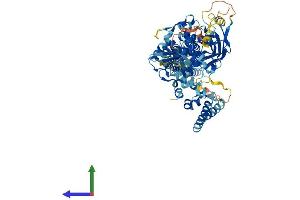 AlphaFold protein structure predicition of Mouse Recombinant Stat4 Protein, UniprotID P42228
