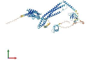 AlphaFold protein structure predicition of Mouse Recombinant Arhgef37 Protein, UniprotID A1IGU4