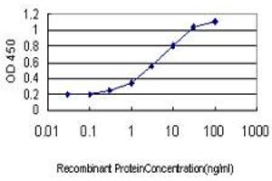 Detection limit for recombinant GST tagged DMRT1 is approximately 0.