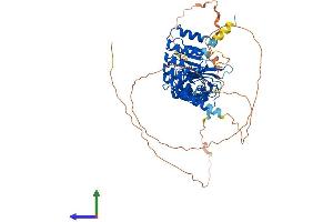 AlphaFold protein structure predicition of Mouse Recombinant Lrrc71 Protein, UniprotID Q9D3W5