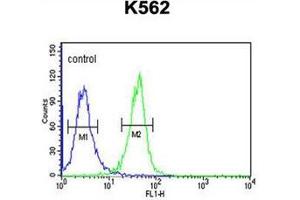 Flow cytometric analysis of K562 cells using DNAJC6 Antibody  (right histogram) compared to a negative control cell (left histogram).