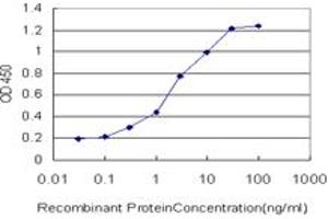 Detection limit for recombinant GST tagged CENPJ is approximately 0.