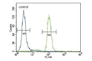 PIK3CA Antibody (C-term) (ABIN1882113 and ABIN2842103) flow cytometric analysis of Hela cells (right histogram) compared to a negative control cell (left histogram). (PIK3CA anticorps  (C-Term))