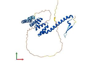 AlphaFold protein structure predicition of Mouse Recombinant Ttc1 Protein, UniprotID Q91Z38