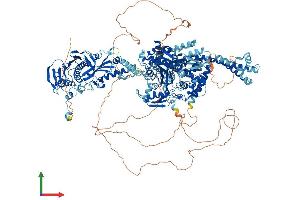 AlphaFold protein structure predicition of Human Recombinant TOP2A Protein, UniprotID P11388