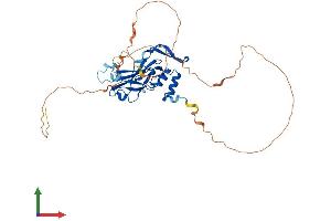 AlphaFold protein structure predicition of Mouse Recombinant Tbx10 Protein, UniprotID Q810F8