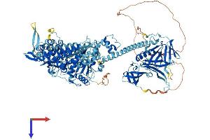 AlphaFold protein structure predicition of Human Recombinant MYO1E Protein, UniprotID Q12965