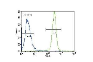 Flow cytometric analysis of Hela cells (right histogram) compared to a negative control cell (left histogram). (LYN anticorps  (N-Term))