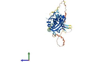 AlphaFold protein structure predicition of Mouse Recombinant Tead1 Protein, UniprotID P30051