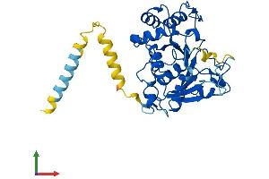 AlphaFold protein structure predicition of Mouse Recombinant St3gal1 Protein, UniprotID P54751