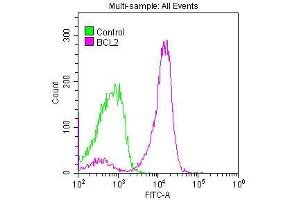 Overlay histogram showing Jurkat cells stained with ABIN7127273 (red line) at 1:50.