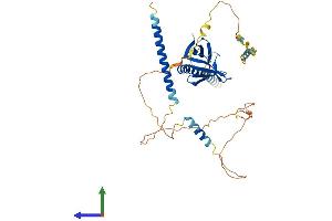 AlphaFold protein structure predicition of Human Recombinant EVL Protein, UniprotID Q9UI08