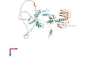 AlphaFold protein structure predicition of Human Recombinant VEZF1 Protein, UniprotID Q14119