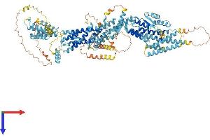 AlphaFold protein structure predicition of Human Recombinant TUBGCP5 Protein, UniprotID Q96RT8