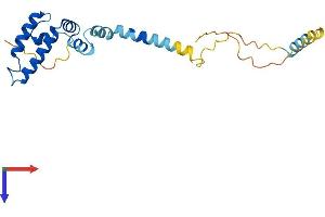 AlphaFold protein structure predicition of Human Recombinant DNAJC5B Protein, UniprotID Q9UF47