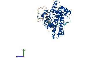 AlphaFold protein structure predicition of Human Recombinant GAL3ST1 Protein, UniprotID Q99999
