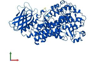 AlphaFold protein structure predicition of Mouse Recombinant Alox5 Protein, UniprotID P48999