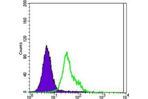 Flow cytometric analysis of MCF-7 cells using ERBB2 mouse mAb (green) and negative control (purple).