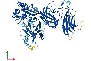 AlphaFold protein structure predicition of Mouse Recombinant Capn5 Protein, UniprotID O08688