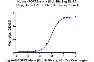 Immobilized Human FGFR2 alpha (IIIb) , His Tag at 0.