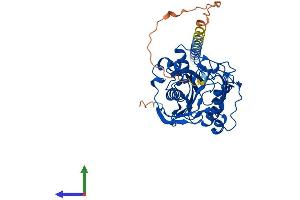 AlphaFold protein structure predicition of Mouse Recombinant B4galt2 Protein, UniprotID Q9Z2Y2
