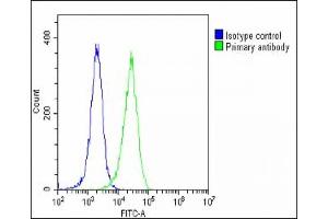 Overlay histogram showing Hela cells stained with B(green line).