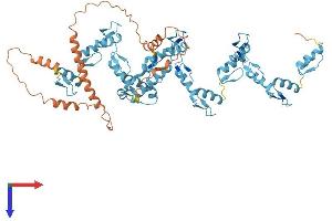 AlphaFold protein structure predicition of Human Recombinant ZNF728 Protein, UniprotID P0DKX0