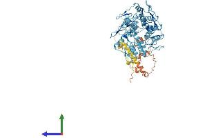 AlphaFold protein structure predicition of Human Recombinant ZNF605 Protein, UniprotID Q86T29