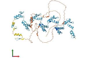 AlphaFold protein structure predicition of Human Recombinant ZNF16 Protein, UniprotID P17020
