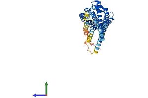 AlphaFold protein structure predicition of Mouse Recombinant Bdkrb1 Protein, UniprotID Q61125