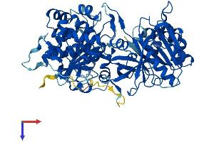 AlphaFold protein structure predicition of Human Recombinant NDOR1 Protein, UniprotID Q9UHB4