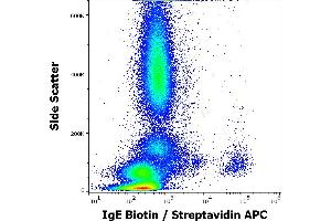 Flow cytometry surface staining pattern of human peripheral whole blood stained using anti-human IgE (BE5) Biotin antibody (concentration in sample 4 μg/mL) Streptavidin APC. (IgE anticorps  (Biotin))