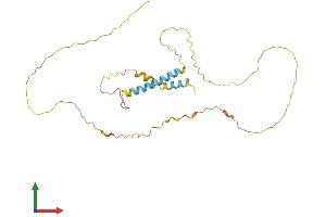 AlphaFold protein structure predicition of Mouse Recombinant Mdfic Protein, UniprotID Q8BX65